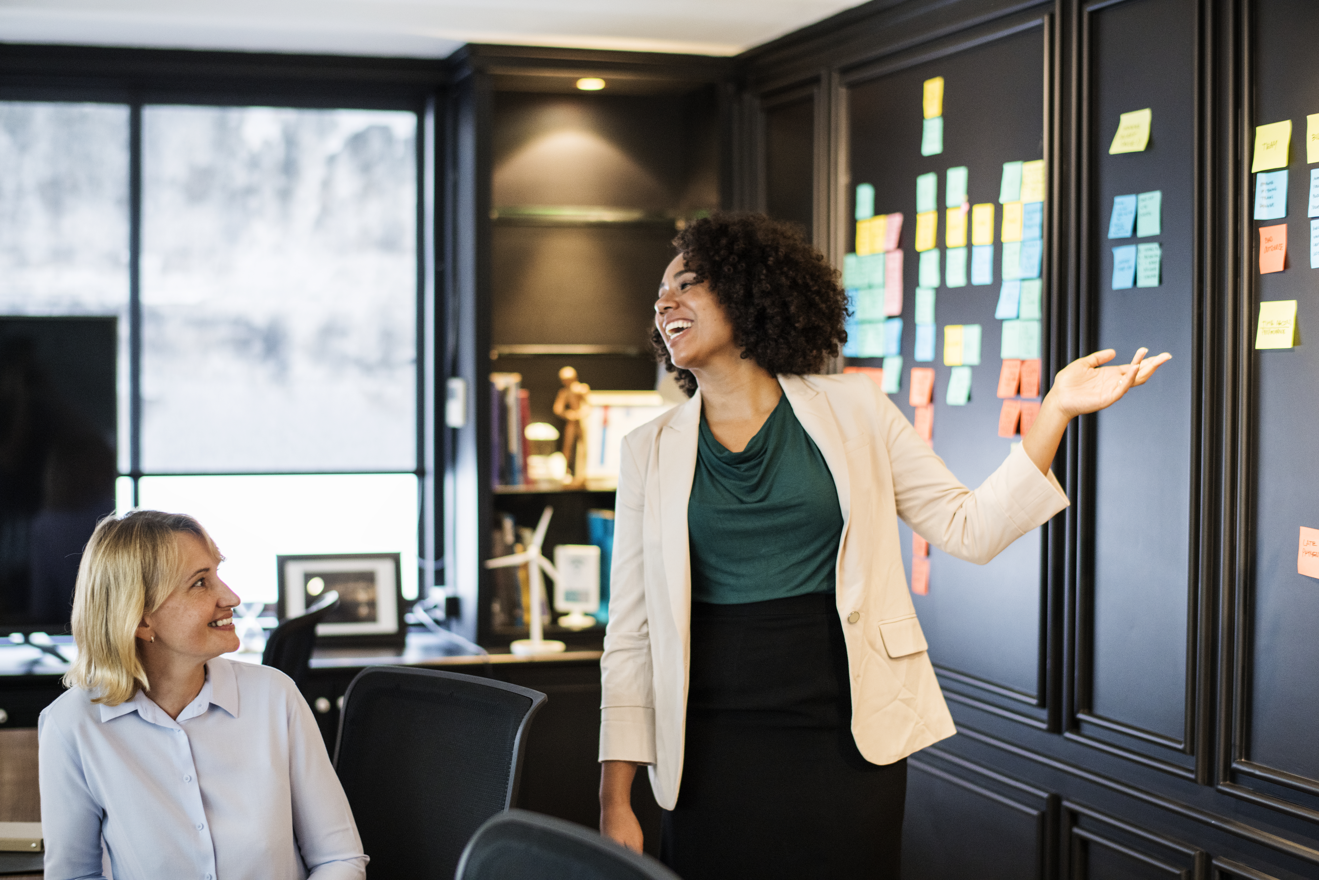 Woman presenting to a meeting in a Alan B Fischler conference room